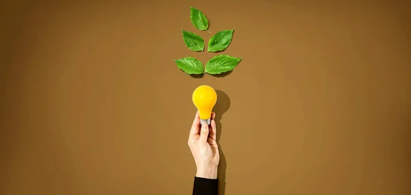 Person holding a light bulbs with green leaves