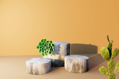 Taş podyumlarla sulandırılmış kaktüsler ve kaktüsler.