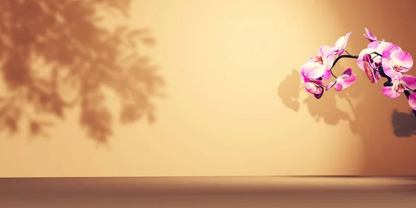 Pink Orchid Flowers Minimal Room Render — стоковое фото