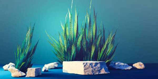 Snake plant with white stone podiums - 3D render