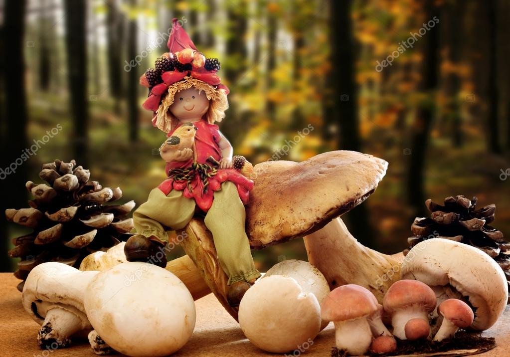 Elf with mushrooms and pine cones Stock Photo by ©TTLmedia 13797627