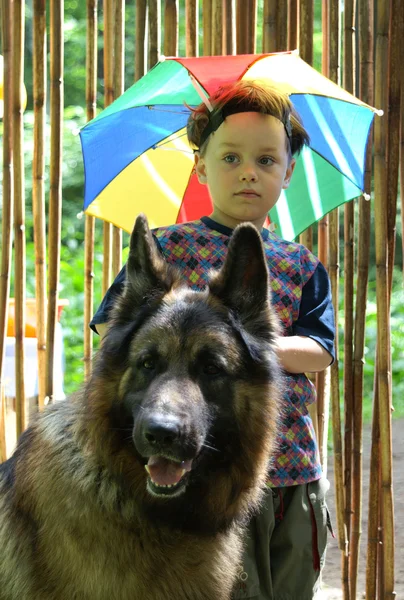 The boy and his huge dog stand near bamboo curtain — Stock Photo, Image