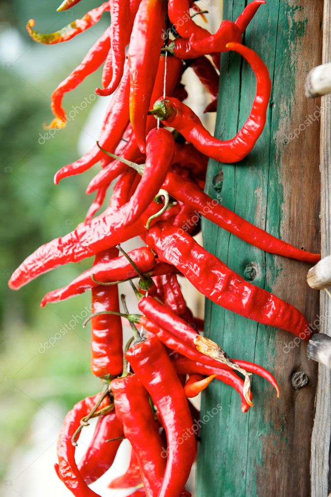 red chili pepper - 图库照片