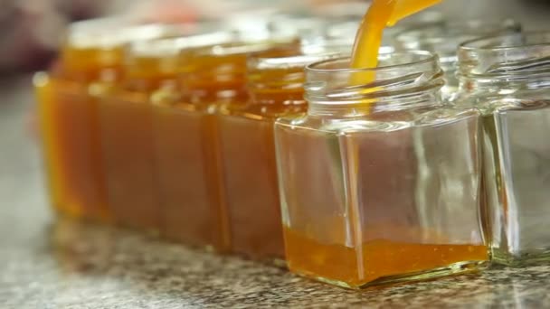 Poring Mermelada de naranja en un frasco — Vídeos de Stock