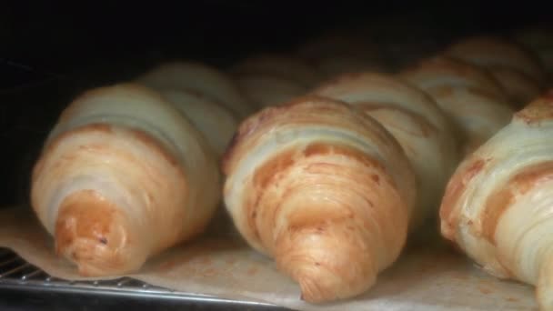 Croissants horneando time-lapse — Vídeos de Stock