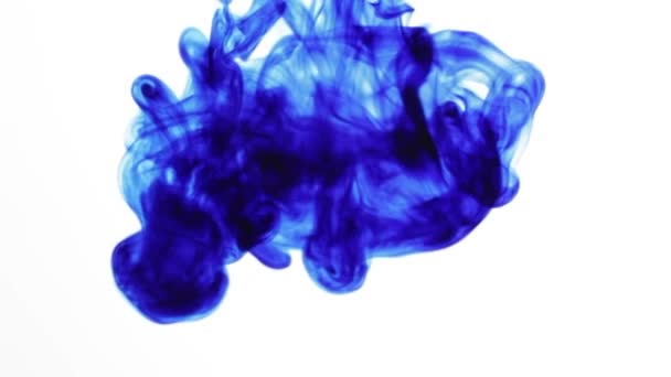 Una goccia di inchiostro blu che cade in acqua — Video Stock