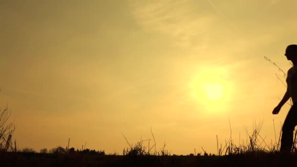 Amusement familial silhouetté — Video