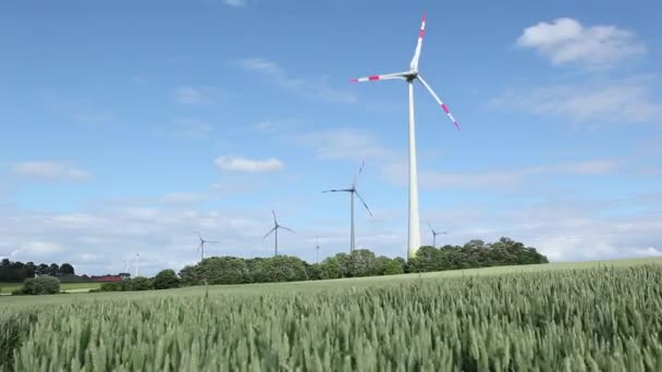 Reihenfolge der Windmühlen — Stockvideo