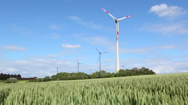 Molinos de viento en un campo de trigo — Vídeos de Stock
