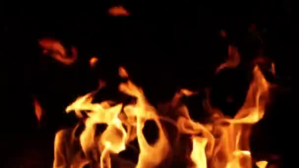 Fireplace flames — Stock Video