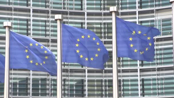 Movimiento lento de la bandera europea — Vídeo de stock