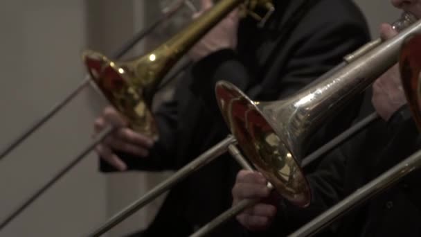 Anonymous trumpet player performing — Stock Video