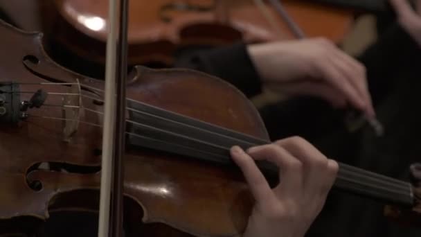 Violinista che esegue — Video Stock