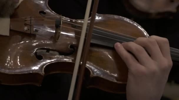 Violin player performing — Stock Video