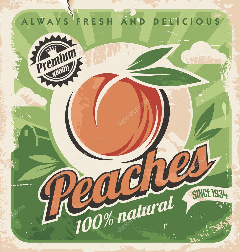 Peaches Vintage Poster Template Stock Vector Image By C Lukeruk