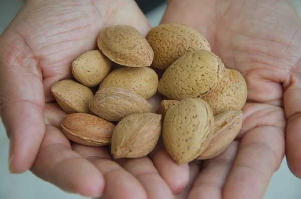 Almonds on palm hands