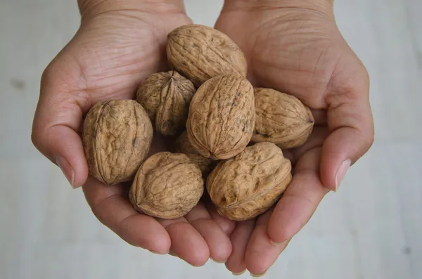 Nueces en las palmas —  Fotos de Stock