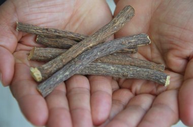 Liquorice in palm hands