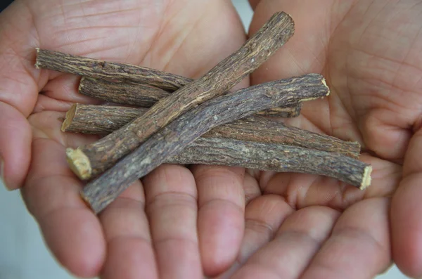 Liquorice in palm hands — Stok fotoğraf