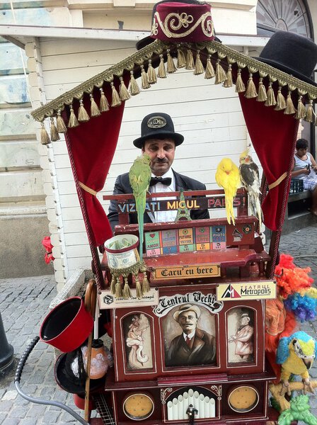 Забавная работа с попугаями для туристов, Бухарест, Липскани
