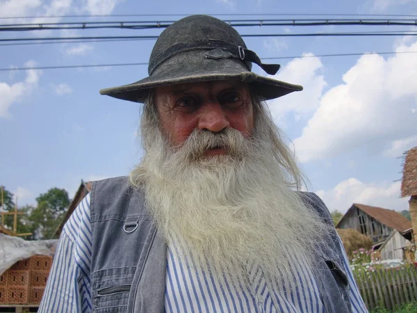 오래 된 현명한 수염된 남자 — 스톡 사진