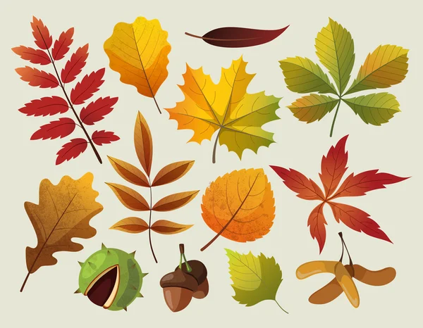 Una colección de coloridos diseños de hojas de otoño . — Vector de stock