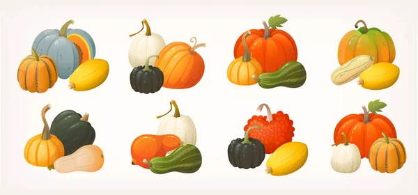 Set Zucche Zucche Zucche Zucche Icone Disposte Gruppi Illustrazioni Verdure — Vettoriale Stock