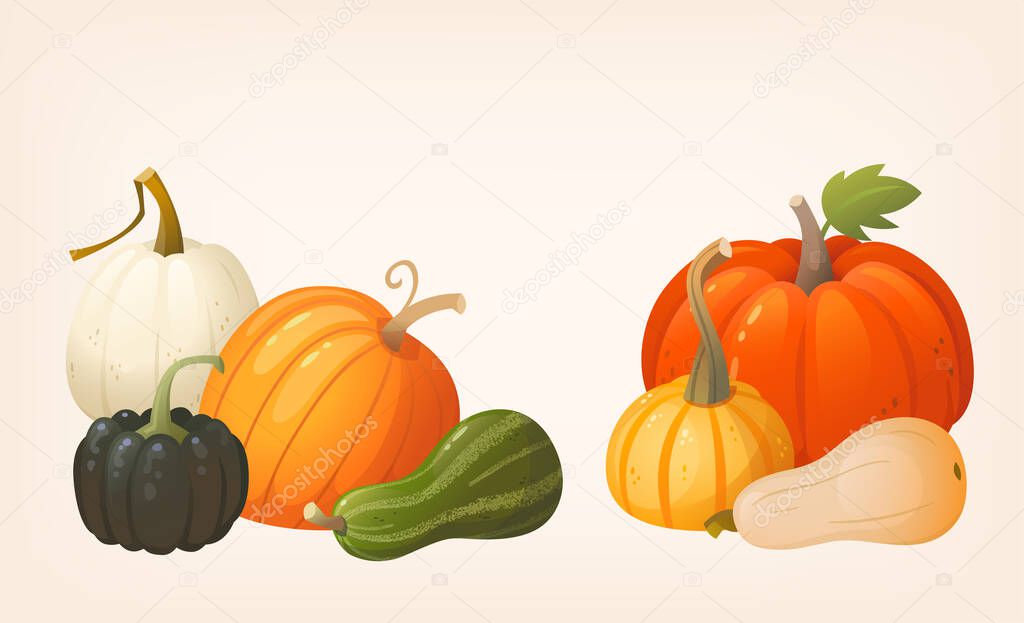 Template for harvest fair and market banners cards and invitation. Colourful pumpkins groups can be used separately. Vector images for autumn posters