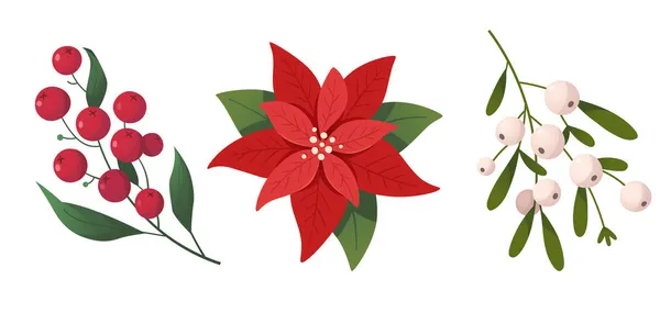 Noel Mevsiminde Dekorasyon Olarak Kullanılan Bitki Çiçeklerin Izole Vektör Görüntüleri — Stok Vektör