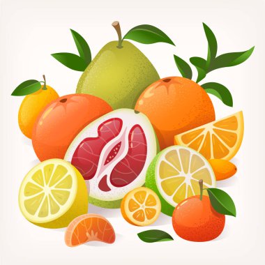 Farklı turunçgil meyveleri yığını: beyaz arka planda mandalina portakalı limon. Resimler sağlıklı yaşam tarzı için organik ürünler paketi için iyidir. Vektör illüstrasyonu