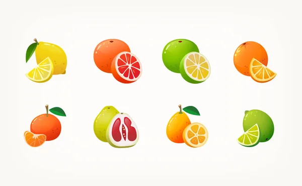 柑橘類のカラフルなアイコンのコレクション スライスと全体の果物 冬の市場で一般的な有機製品 孤立したベクトル画像 — ストックベクタ