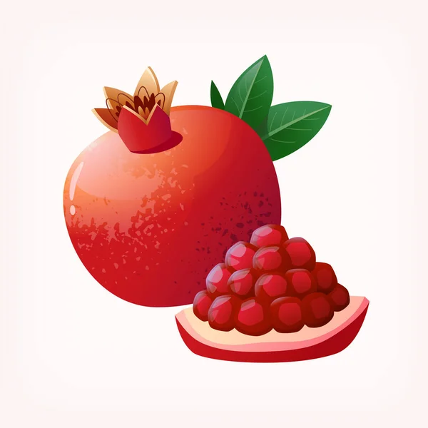 Plakjes Gesneden Granaatappelfruit Geïsoleerde Vectorillustratie Van Kleurig Fruit Transparante Ondergrond — Stockvector