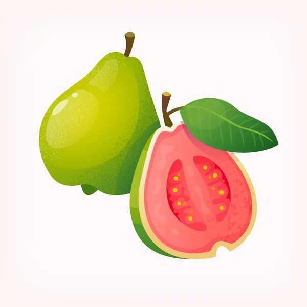 Image Fresh Ripe Guava Fruit Sliced Half Isolated Vector Image — ストックベクタ