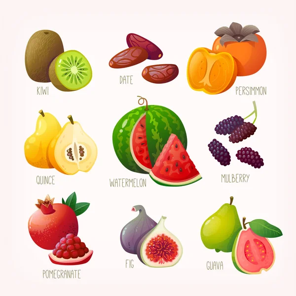 Σετ Φρέσκα Τροπικά Φρούτα Και Μούρα Ονόματα Μεμονωμένες Διανυσματικές Εικόνες — Διανυσματικό Αρχείο