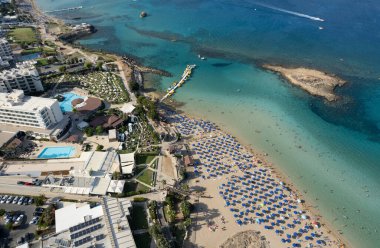 İncir ağacı kumsalının insansız hava aracı fotoğrafı. Yaz tatilleri..