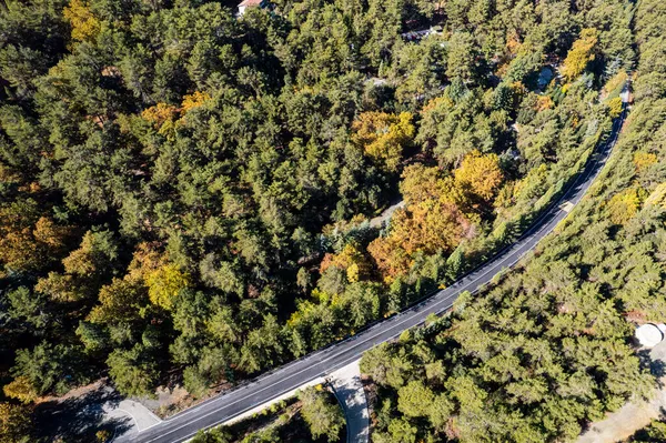 Aereo drone foresta paesaggio, alberi gialli e strada curva in autunno — Foto Stock