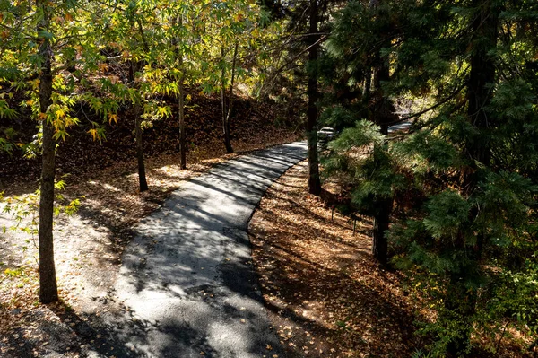 Paisaje del bosque de drones aéreos, árboles amarillos y carretera curva en otoño — Foto de Stock