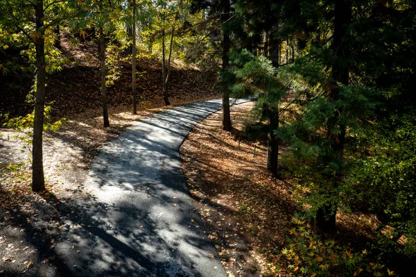 Paisaje del bosque de drones aéreos, árboles amarillos y carretera curva en otoño —  Fotos de Stock