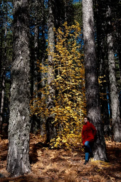 Mujer joven con abrigo rojo en el bosque en otoño. —  Fotos de Stock