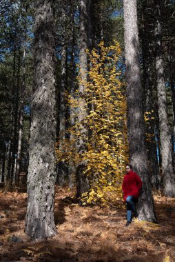 Sonbaharda ormanda kırmızı ceket giyen genç bir kadın..