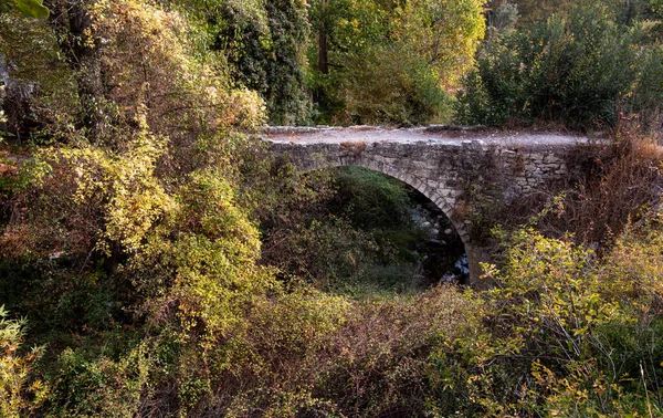 Antiga ponte pedrada medieval veneziana na floresta no outono. — Fotografia de Stock