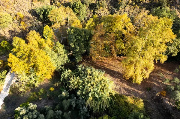Aereo drone foresta paesaggio con strada in autunno. Troodos Cipro Europa — Foto Stock