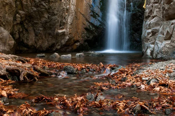 Waterfall and river flowing with maple leaves on the rocks on the river in Autumn — Stock Photo, Image