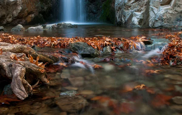 Waterfall and river flowing with maple leaves on the rocks on the river in Autumn — Stock Photo, Image