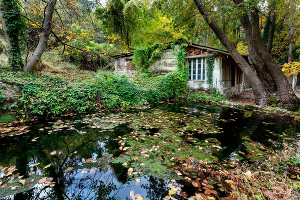 Casa abandonada en el bosque en otoño con hojas de arce amarillo en el suelo. —  Fotos de Stock