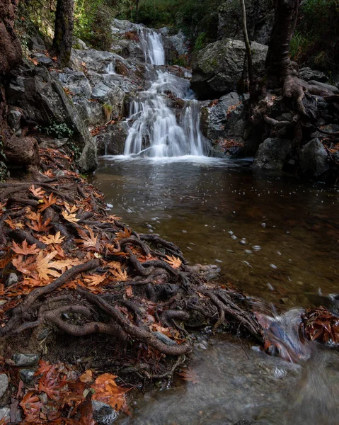 Fluss fließt im Herbst mit Ahornblättern auf den Felsen am Flussufer — Stockfoto