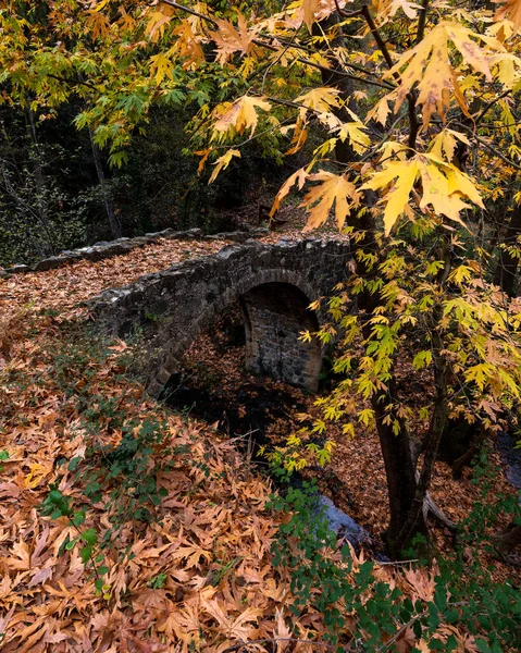 Őszi táj folyó folyik alatt egy ősi kövezett híd és sárga juharfalevelek a földön. Drakos középkori híd Ciprus — Stock Fotó