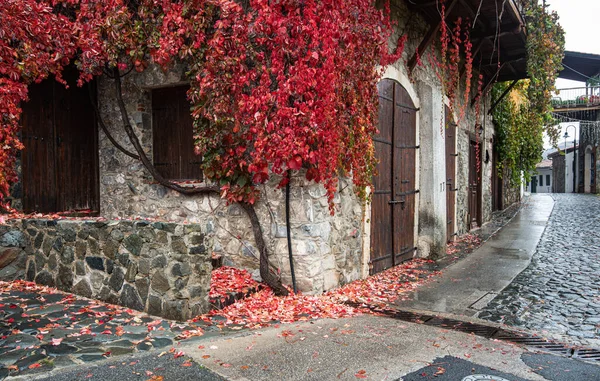 Okolí s tradičními domy v obci kalopanayiotis na podzim v cyprus — Stock fotografie
