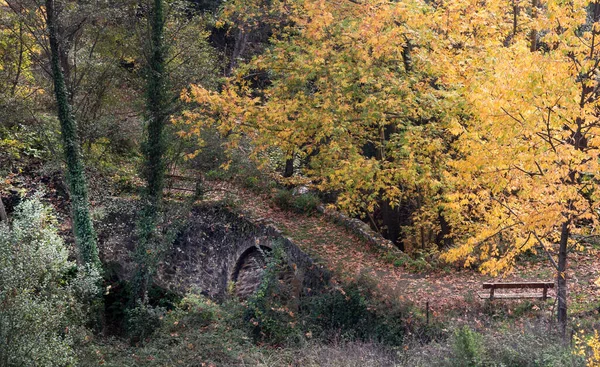 Paisagem de outono em uma antiga ponte apedrejada e folhas de bordo amarelas em árvores e chão. — Fotografia de Stock