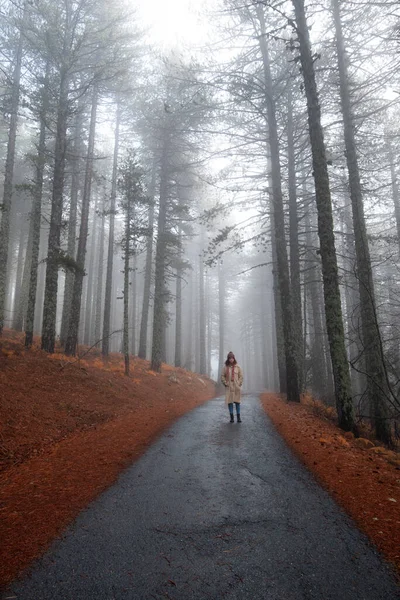Fiatal nő sétál egy vidéki úton az erdőben télen. Troodos Ciprus — Stock Fotó